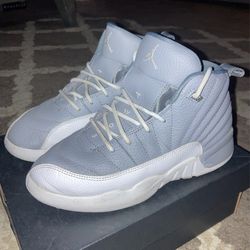 Jordan 12 Shoes