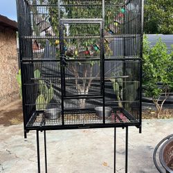 Bird Cage 