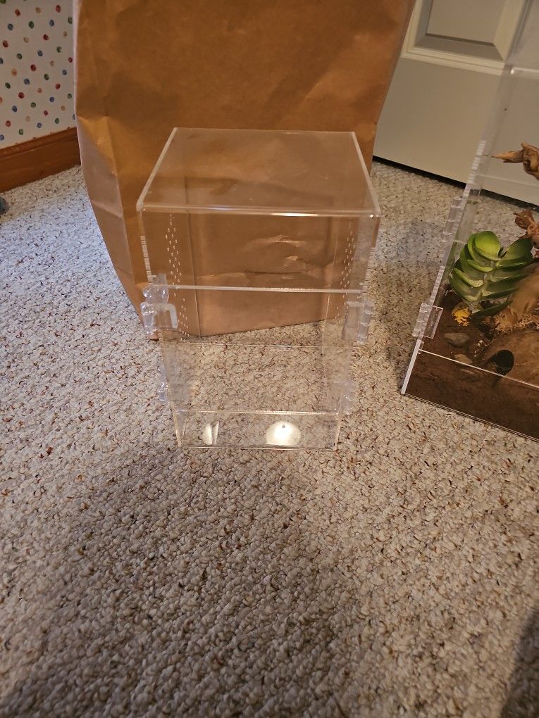 Tarantula Cage