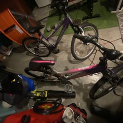 2 Bikes For Young Girls