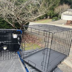 Large Medium Dog Kennel Crate Collapsible in Good Condition 36” L by W 22” H “24
