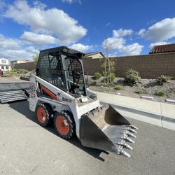 Mini Bobcat 