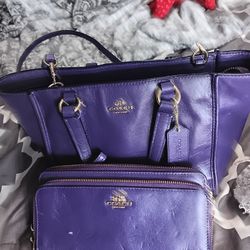 Coach Purse With Matching Wallet 