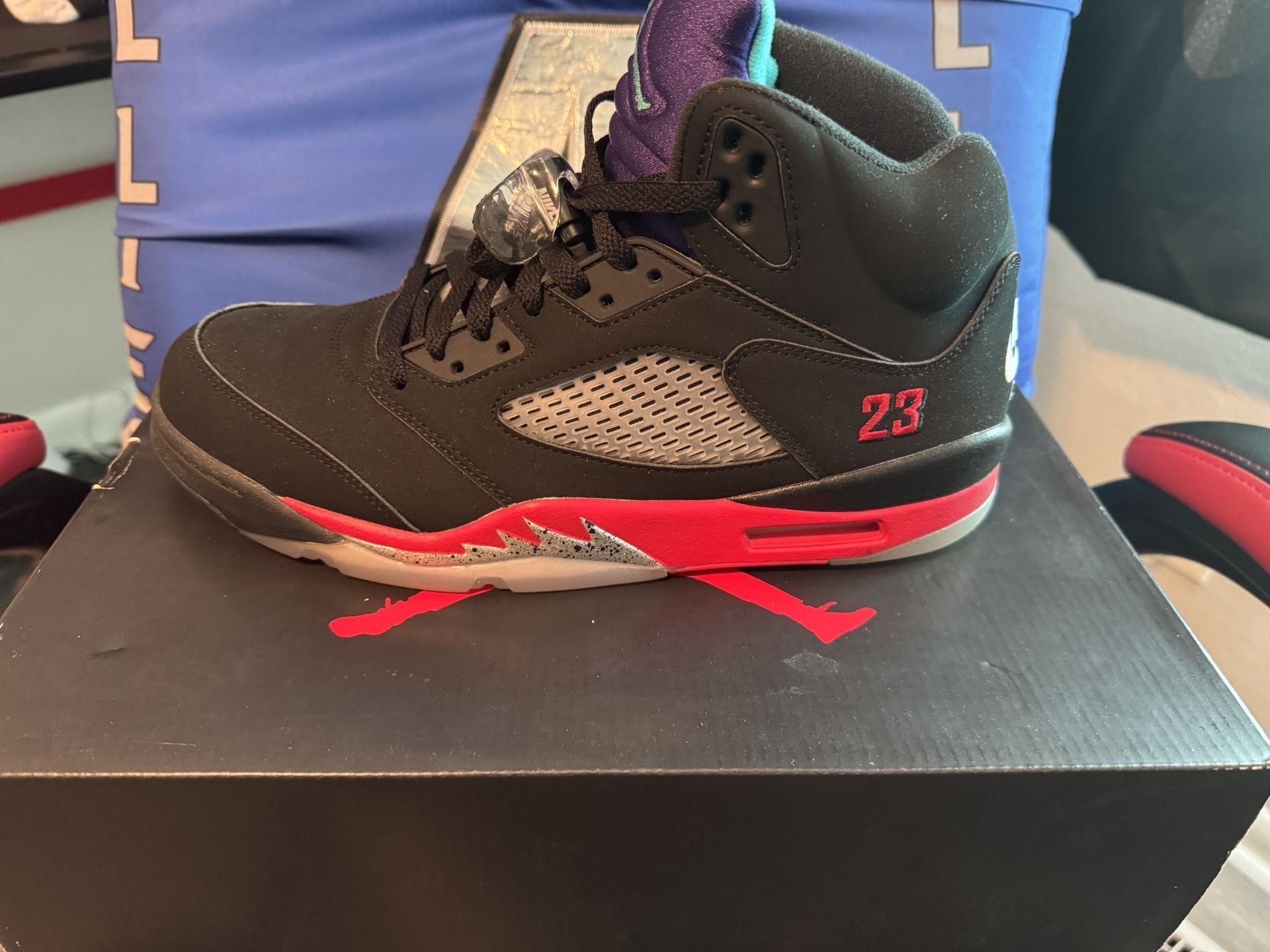 Jordan 5s Raptors
