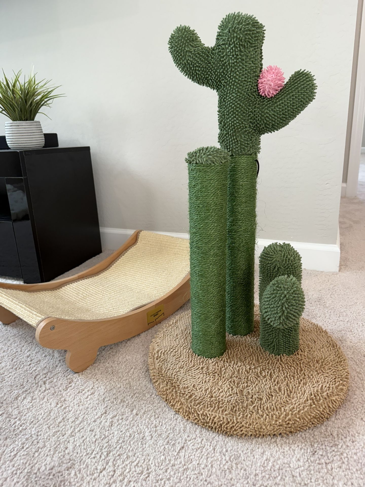 Cat Tree and hammock