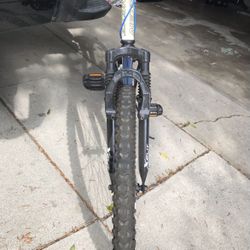 Used mountain bike.