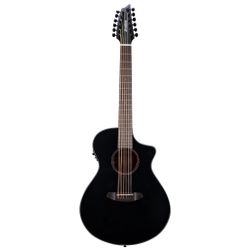 Breedlove 12 String Acoustic Guitar 