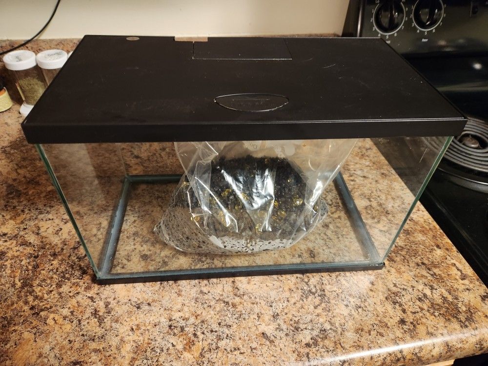 Fish Tank Starter Kit With Decorations