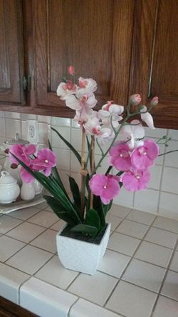 Decor