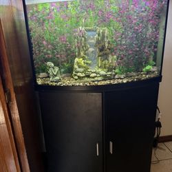 Fish Tank