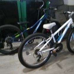 Novara Mountain Bike & Jamis Mountain Bike 