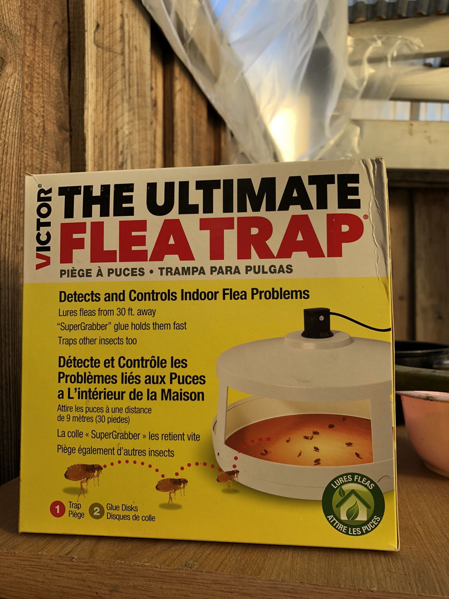 Flea trap
