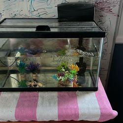 Fish Take With Filter + Decorations, Net And Aquasafe