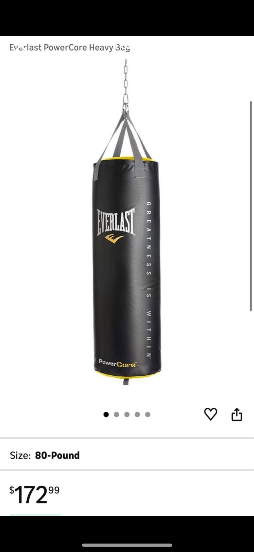 Everlast Heavy Bag 80lbs Punching Bag