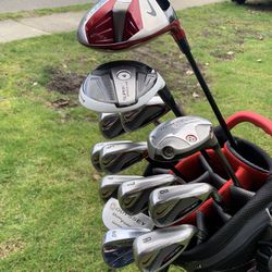 Nice! Nike Club Set With Datrek Carry Stand Bag for Sale in Bothell, WA - OfferUp
