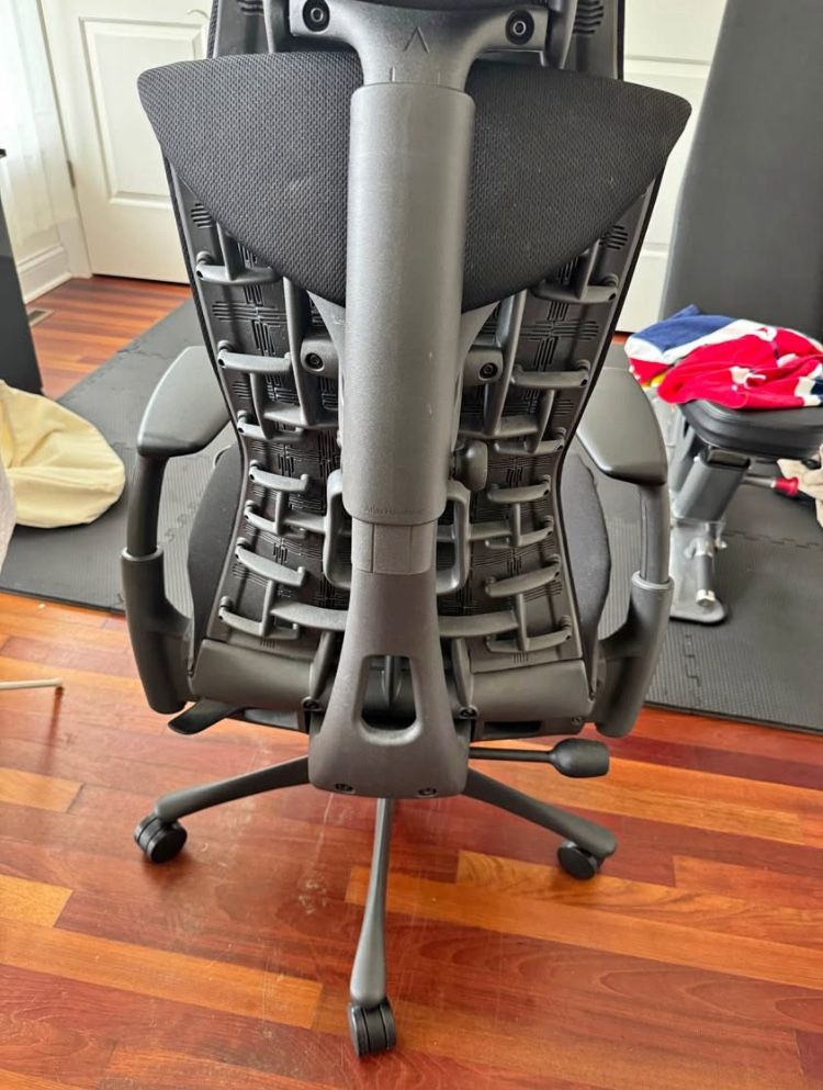.Herman Miller-Embody w/ Atlas-Headrest.