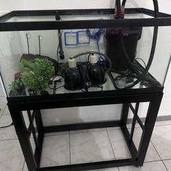 Fish Or Turtle Tank Setup