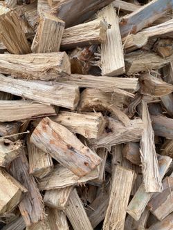 Eucalyptus Firewood