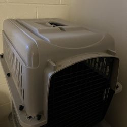 Medium Sized Dog Kennel