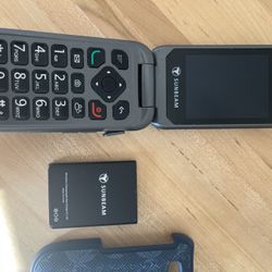 Sunbeam Redwood Flip Phone