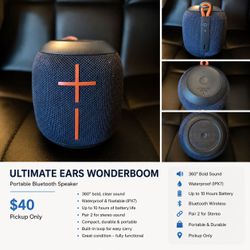Wonderboom