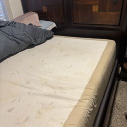 Free Queen Sized Mattress, Box Spring, And Bed Frame