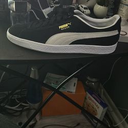 Brand New Puma Suede Shoes 