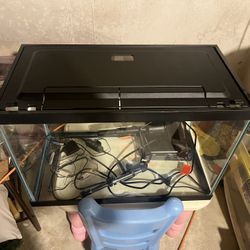 Fish Tank With Supplies Heater Filter