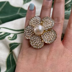 Huge Gorgeous Ring!