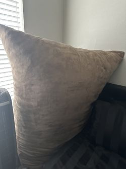Large Cushion, Lounger Bed