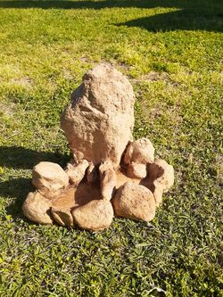 Extra large 3D reptile water bowl food bowl dish