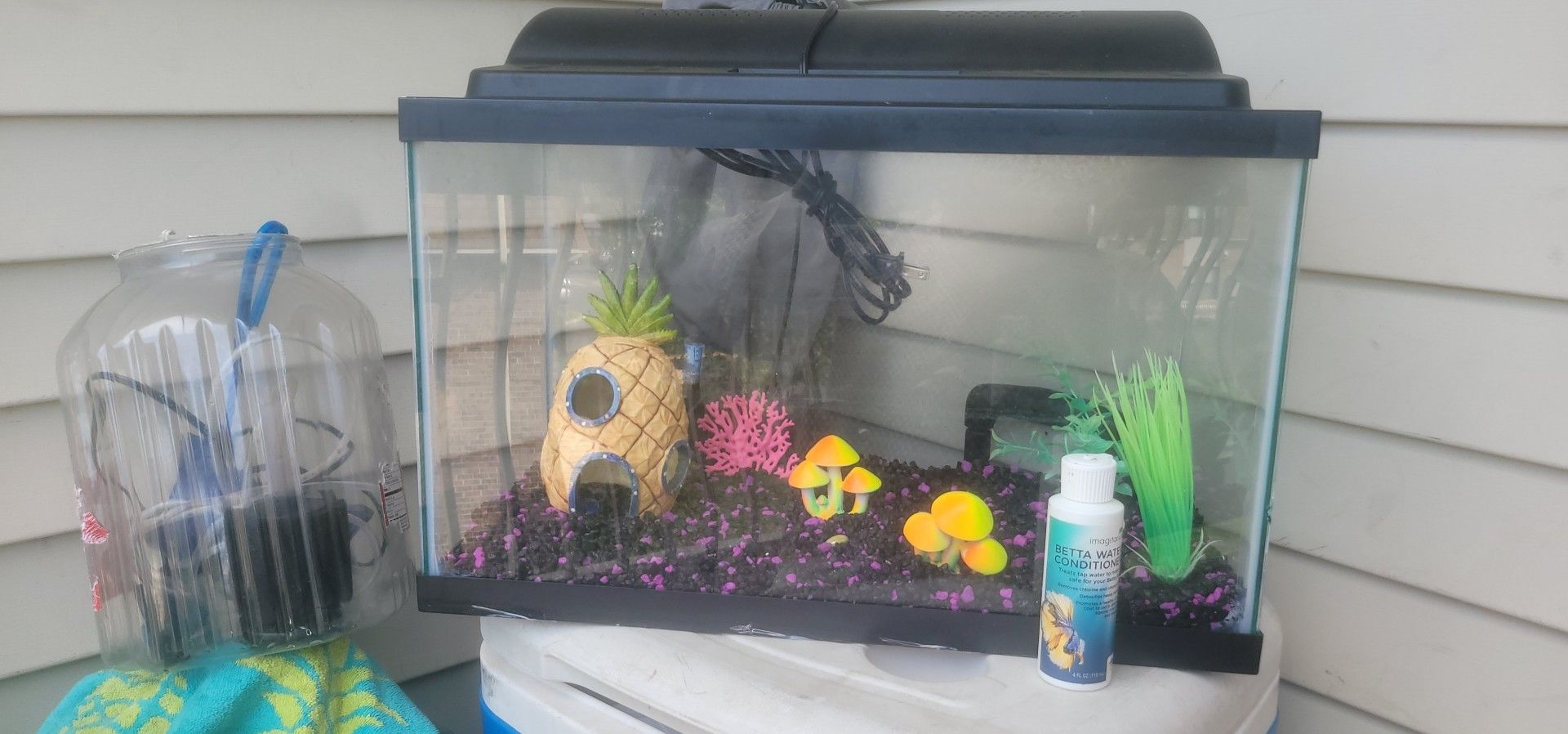 10 gallon fish tank.