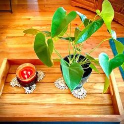Handmade Serving/plant Trays