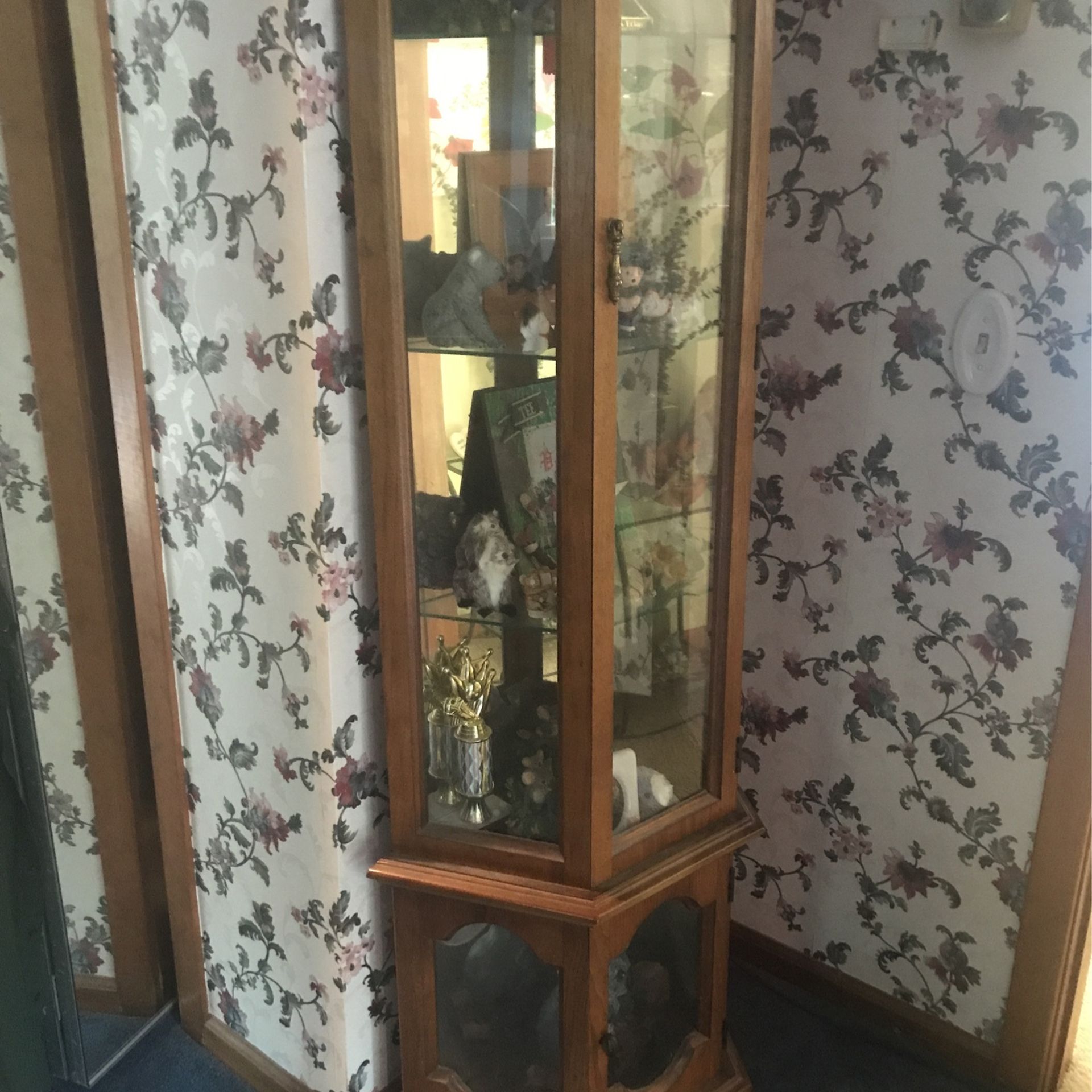 Curio Cabinet