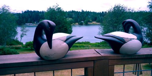 Matching Duck Decoys From Big Sky Carvers