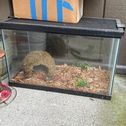 22inch Terrarium