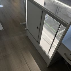 Display Case / Check Out Desk