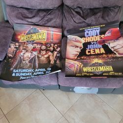 Wrestemania Posters 