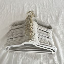 Light Pink Velvet Hangers 