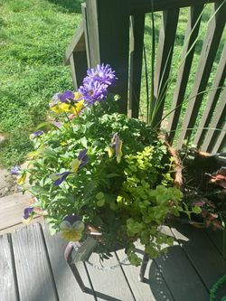 Custom Hanging Baskets And Container Arrangements