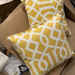 Outdoor/indoor Pillows 