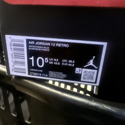 French blue Jordan 12s DS