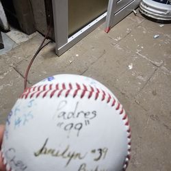 Pelota De Beybol