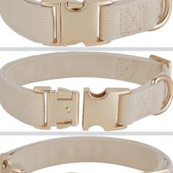 Small Dog Collar - Cream With Gold Hardware (New!)