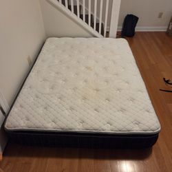Queen Bed $100