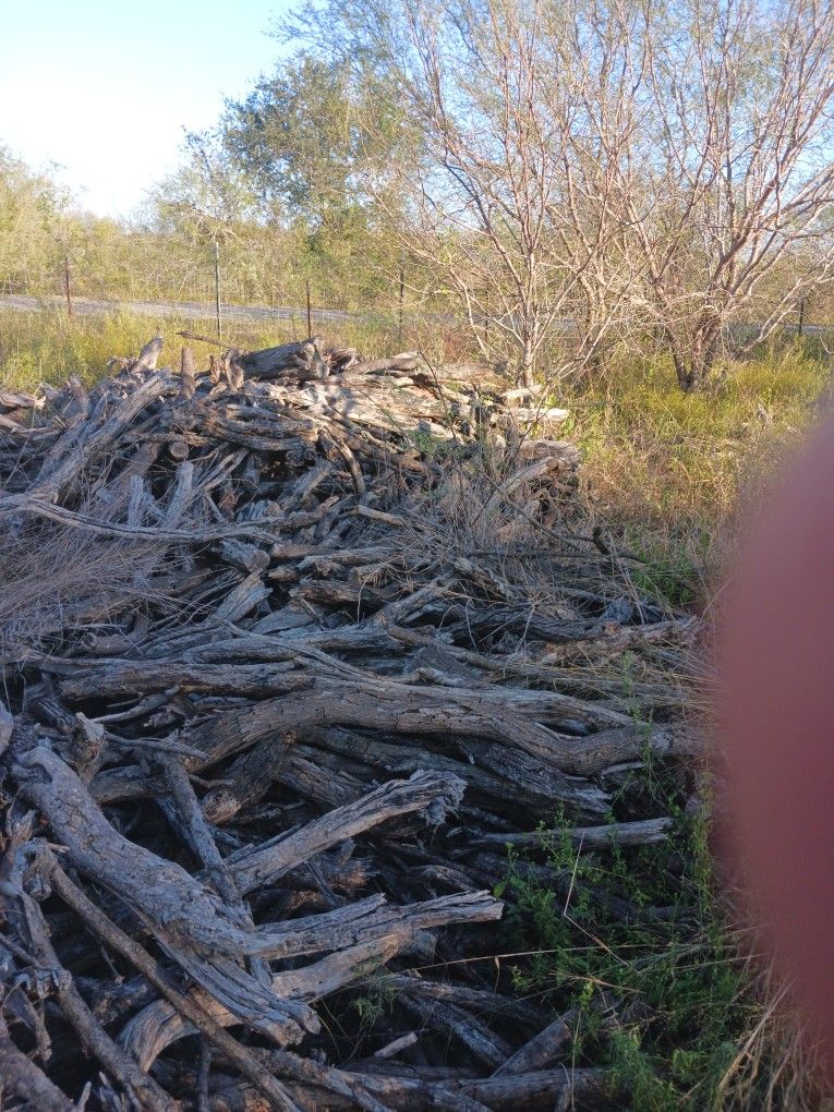 Dry Mesquite Ready For Bbq