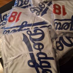 LOS ANGELES Baseball/Basketball 