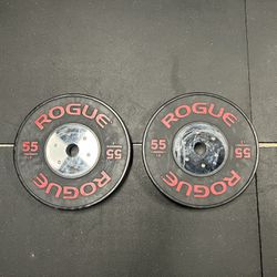 Rogue Fitness 55lb Training Weight Plates Pair
