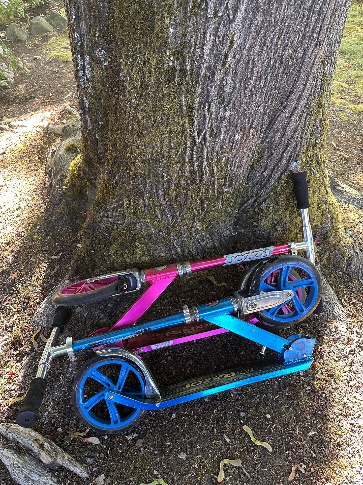 2 Razor Scooters (Price for both)