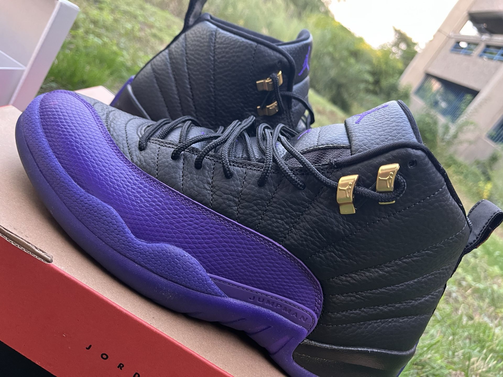 Jordan 12 Field Purple 